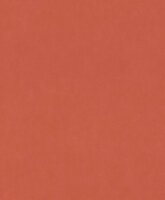 Rasch Paraiso - 330113 Rood Behang