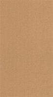Caselio Outlines OTLS64522578 - Bruin Behang