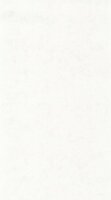 Caselio Beton 2 BTO101480000 - Wit Behang