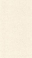 Caselio Beton 2 BTO101480010 - Wit Behang