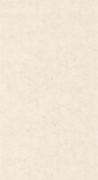 Caselio Beton 2 BTO101481002 - Beige Behang