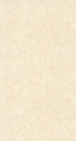 Caselio Beton 2 BTO101481123 - Beige Behang