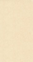 Caselio Beton 2 BTO101481247 - Beige Behang