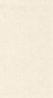 Caselio Beton 2 BTO101481258 - Beige Behang
