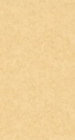 Caselio Beton 2 BTO101481515 - Beige Behang