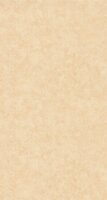 Caselio Beton 2 BTO101481674 - Beige Behang
