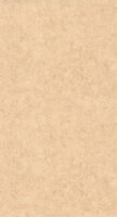 Caselio Beton 2 BTO101482446 - Beige Behang