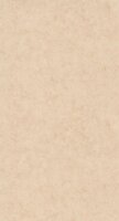 Caselio Beton 2 BTO101482551 - Beige Behang