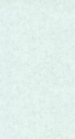 Caselio Beton 2 BTO101486012 - Blauw Behang