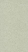 Caselio Beton 2 BTO101487270 - Groen Behang
