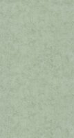 Caselio Beton 2 BTO101487332 - Groen Behang