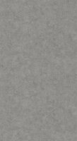 Caselio Beton 2 BTO101489600 - Grijs Behang