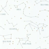 Caselio Our Planet OUP101917125 - Blauw Behang