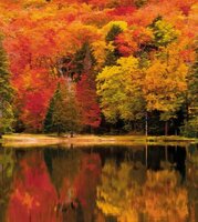 Caselio Jute JTE104012220 - Beige Behang