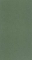 Caselio Basics BAI64524044 - Groen Behang