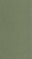 Casadeco Riverside 4 RIVI86427538 - Groen Behang