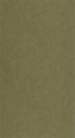 Casadeco Riverside 4 RIVI86427712 - Groen Behang
