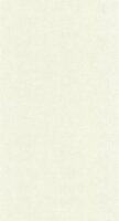 Casadeco Riverside 4 RIVI88700012 - Wit Behang