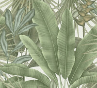 AS Creation Stories of Life - 39647-2 / 396472 Groen Behang