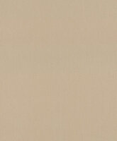 Rasch Deco Style 312416 Beige Behang