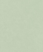 Rasch Deco Style 415377 Groen Behang