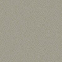 Noordwand Boutique DWP0232-02 Beige Metallic Behang