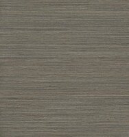 Arte Intuition CONFIDENT INT213 Beige / Taupe Behang