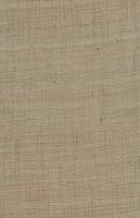 Arte Wild Silk GHICHA SILK 86548 Beige Behang