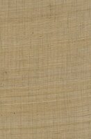 Arte Wild Silk GHICHA SILK 86549 Beige Behang