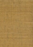 Arte Wild Silk GHICHA SILK 86550 Beige Behang
