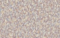 HookedOnWalls ACADEMY - A TRIBUTE TO GK BLUMEN 25652 Behang