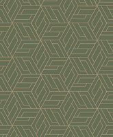 Dutch Wallcoverings Omura A67303 Groen Behang