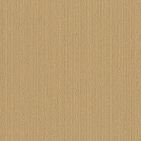 Dutch First Class Luxury Colors LC522107 Goud Behang