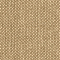 Dutch First Class Luxury Colors LC522505 Goud Behang