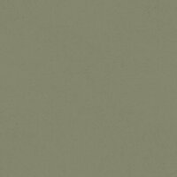 Dutch First Class Midbec Langenas 77007 Groen Behang