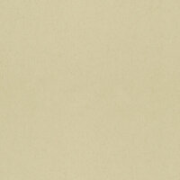Dutch First Class Midbec Langenas 77010 Beige Behang