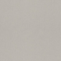 Dutch First Class Midbec Langenas 77028 Taupe Behang