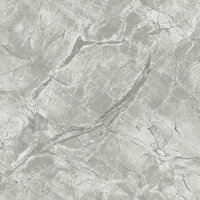 Dutch First Class Arabesque 36282 Zilver Behang