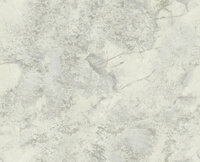 Dutch First Class Carrara Best 85605 Grijs Behang