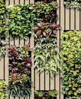 Dutch Wallcoverings Artifice M794-04 Beige / Groen Behang