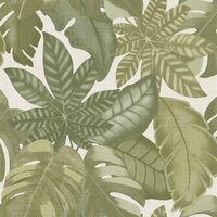Noordwand Thai 26415 Groen Behang