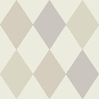 Dutch First Class Midbec Langtan 63033 - Grijs / Paars Behang