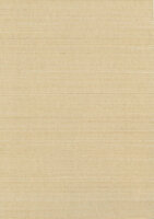 Greenland Natural Palette N168NA0055 - Abaca Beige Behang