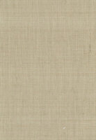 Greenland Natural Palette N168NA0155 - Abaca - Groen / Beige Behang