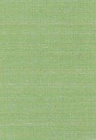 Greenland Natural Palette N168NA2081 - Abaca Groen Behang