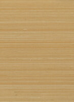 Greenland Natural Palette N168NA6011 - Abaca Beige Behang