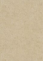 Dutch Wall Decor Play of Light 10418-32 / 5021041832 Beige Behang