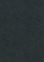 Dutch Wall Decor Play of Light 12203-15 / 5021220315 Zwart Behang