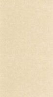 Caselio Azur AZU105241844 - Beige Behang