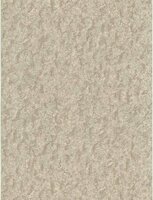 Dutch First Class Fusione 73514 Beige Behang